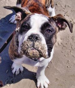 2009-06-22 Nordseefreunde2.jpg