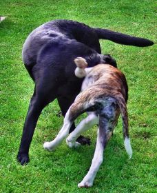 2009-06-24 Seesen1.JPG