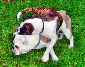 2009-06-24 Seesen3.JPG