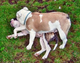 2009-06-24 Seesen4.JPG