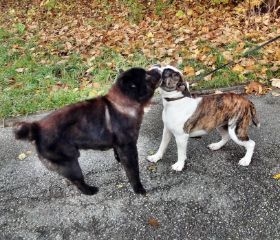 2009-11-14 Billy.JPG