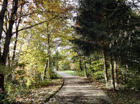2009-10-27 Umfeld2.jpg