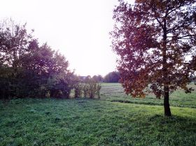 2009-10-27 Umfeld3.jpg