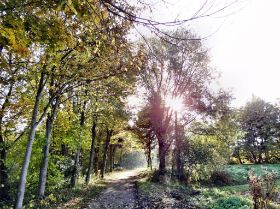 2009-10-28 Umfeld4.jpg