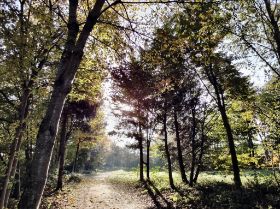 2009-10-28 Umfeld5.jpg