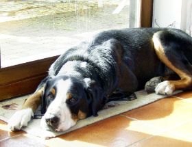 2004-03-20-c01a#4#cTerassentüreInSonne.JPG
